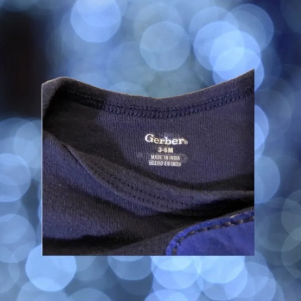 Gerber dinosaur appliqué